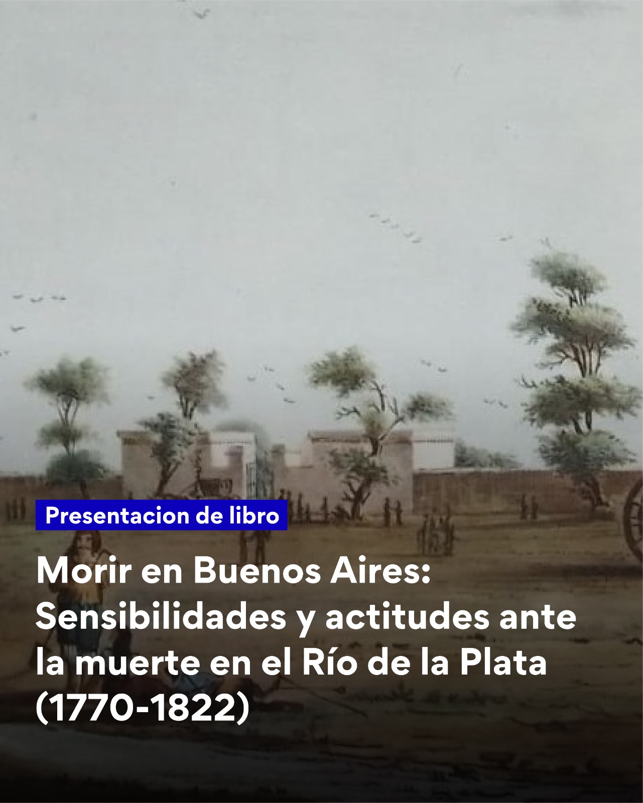 Roca 01.jpeg